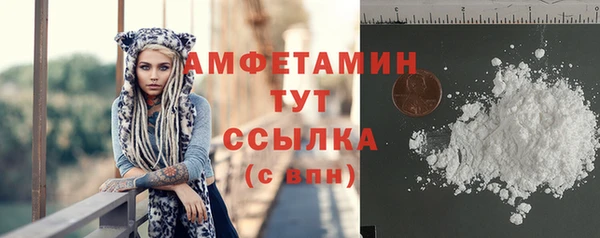 шишки Карпинск