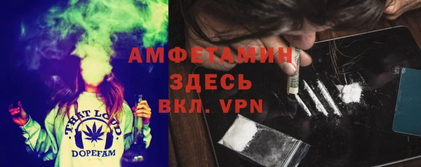 шишки Карпинск
