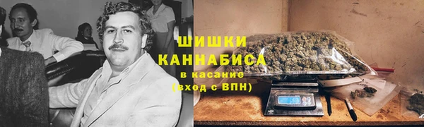 шишки Карпинск