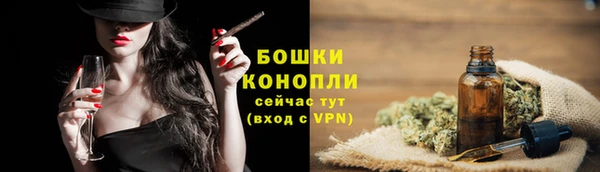 прущий лед Касимов