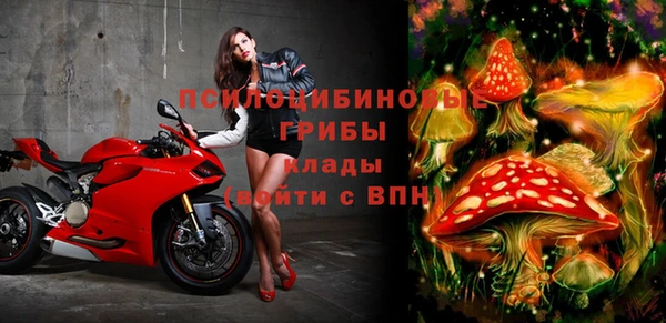 шишки Карпинск