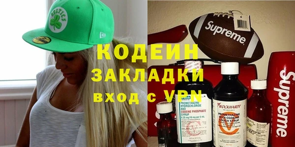 шишки Карпинск