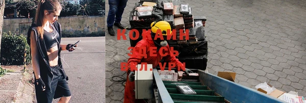 шишки Карпинск