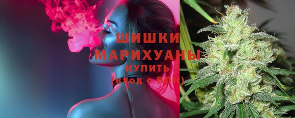 прущий лед Касимов