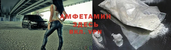 шишки Карпинск